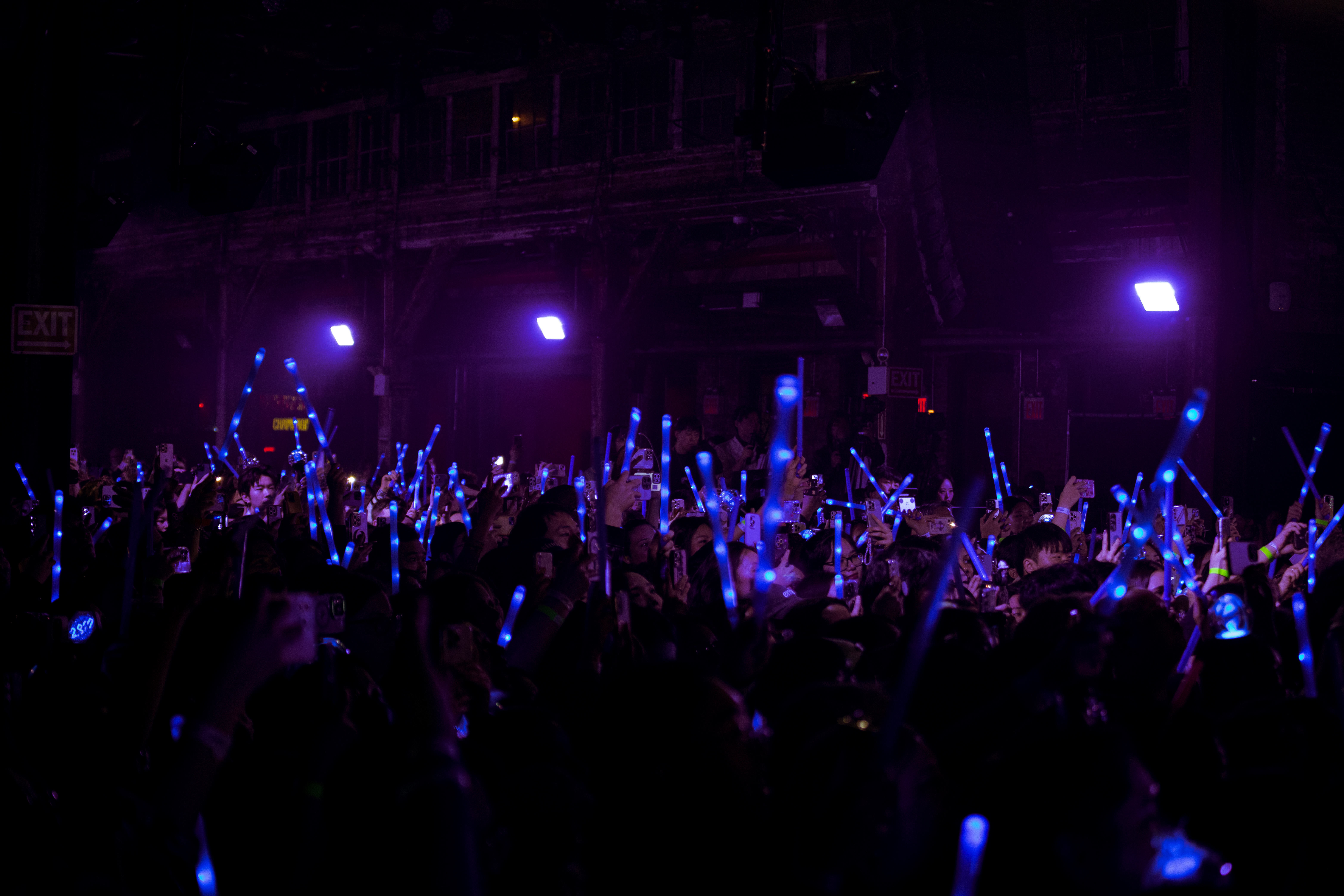 Concert Crowd 2